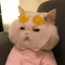 Ssss
