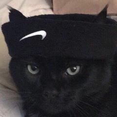 spyfsh