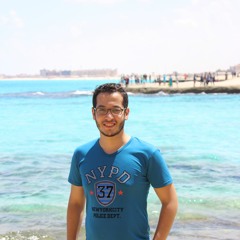 Mohamed Abdelgawad 12