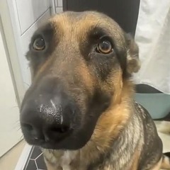 ROYALTY-FREE PLUGGNB TYPE BEAT "HAUNTED TRAP"