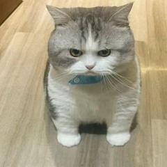 hello