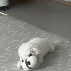 이가은
