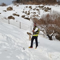 shahruz tabrizi