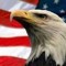 Eagle.