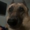 Auby