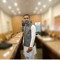 Ansar Munir
