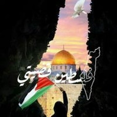 ايه على
