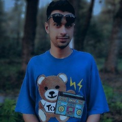 Amir M1