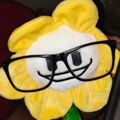 veiiga