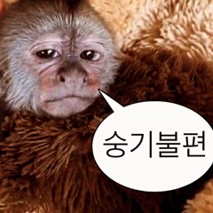 김도KEM