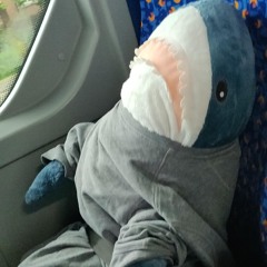shark