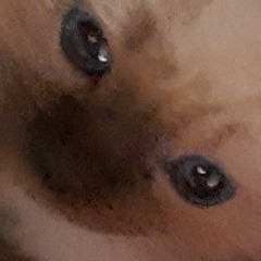 Nosy