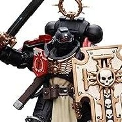 Black Templar spacemarine.
