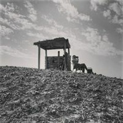 Ahmed Youssif Boghdady