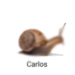 carlos
