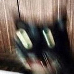 uɘꙅɒʜɔɘm