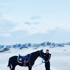 Ahmed Zien El Abdeen