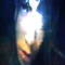 elijah.wolf