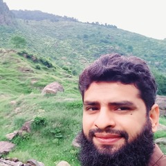 taimur amin 1