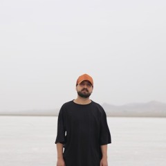 kaveh haseli