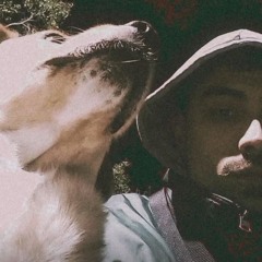 perro spktro