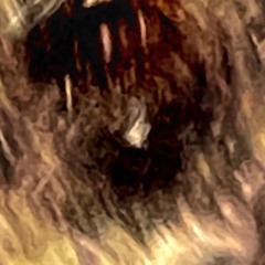 Jeremiah_Exists