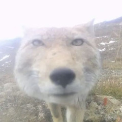 Aster Εlpída/Prod. L4zaris