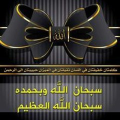 Tarek Elemam