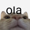 Ian_m