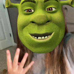 Shrek_Slayz