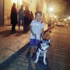 ميدو احمد