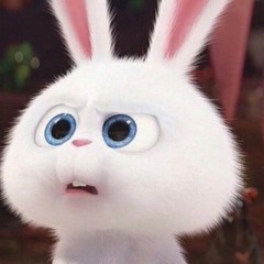 수팡