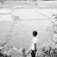 Triwandes Setiadi Silaen