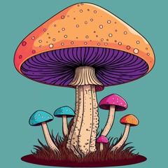 mushroom daddy