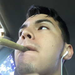 tokekilla28