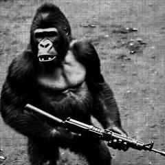 MILITARYAPE