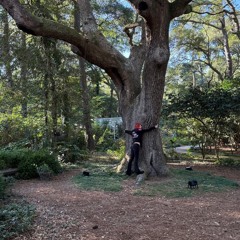 ℳ𝒶𝒸𝓀 𐀔