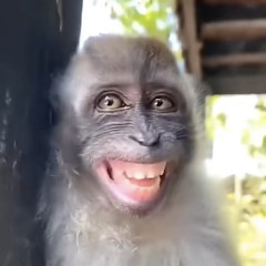 JB