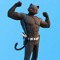 mewsculls