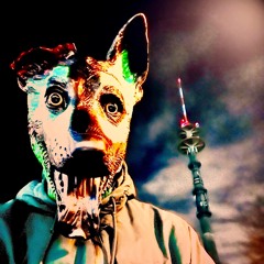 Dog Oxygen