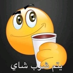 سلمى حسين