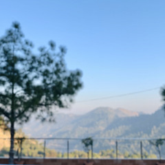 Muqaddas Waqar