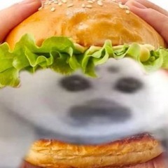 DR3AMYST4RGAZzeR