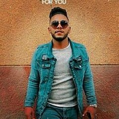 ايهاب ابو الروي