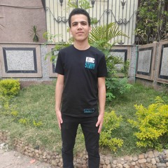 Mohamed Hamza