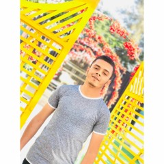 Seif Ahmed 👑
