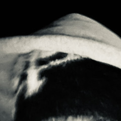freiheit