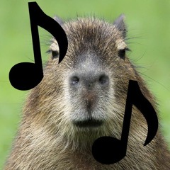 CapybaraMusic