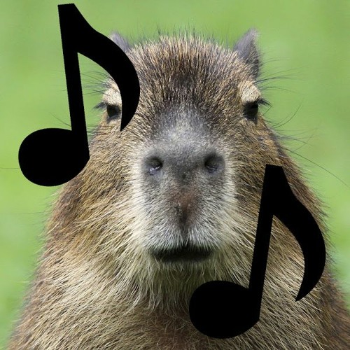 CapybaraMusic’s avatar