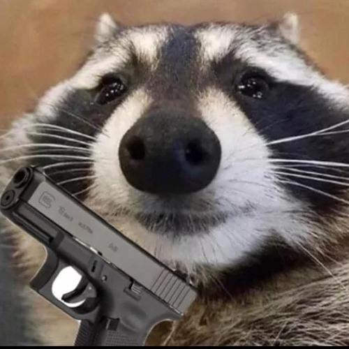 glockracoon’s avatar